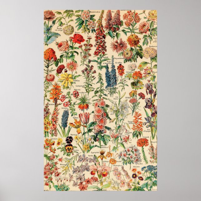 Vintage Flowers Poster (Framsidan)