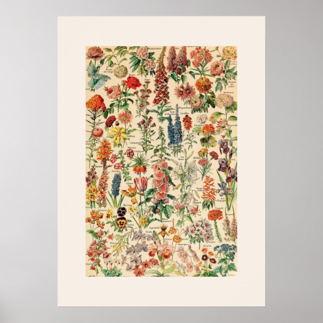 Vintage Flowers Poster (Framsidan)