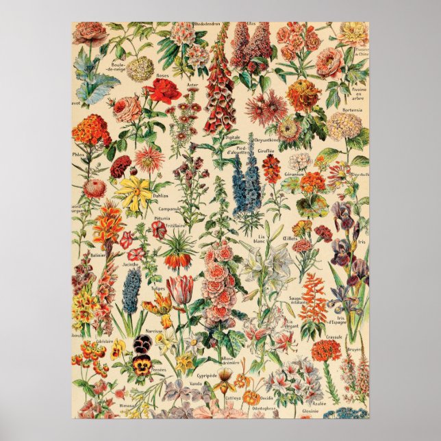 Vintage Flowers Poster (Framsidan)