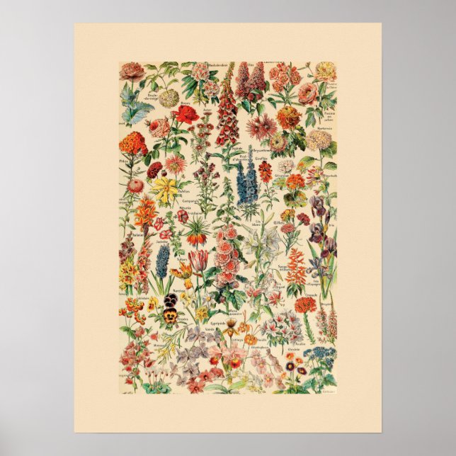 Vintage Flowers Poster (Framsidan)