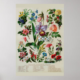 Vintage Flowers Rustic Blommigt Poster