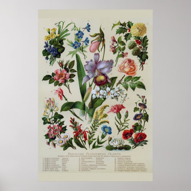 Vintage Flowers Rustic Blommigt Poster (Framsidan)
