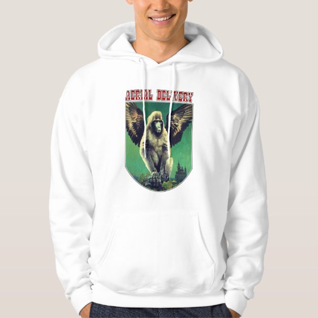 Vintage flygande Monkey Aerial Delivery Hoodie (Framsida)