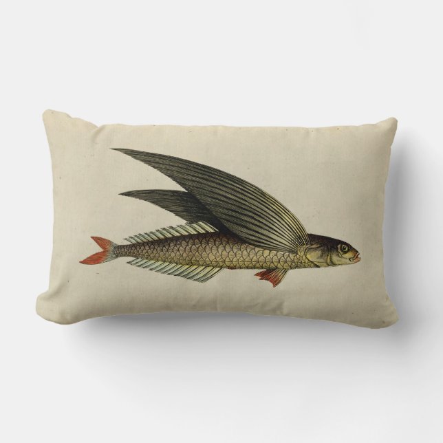 Vintage: Flygfisk Lumbarkudde (Framsida)