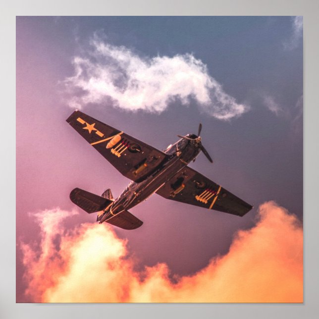 Vintage flygplan vacker Himlar Poster (Framsidan)