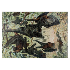 Vintage flying fox bat acadamia illustration 