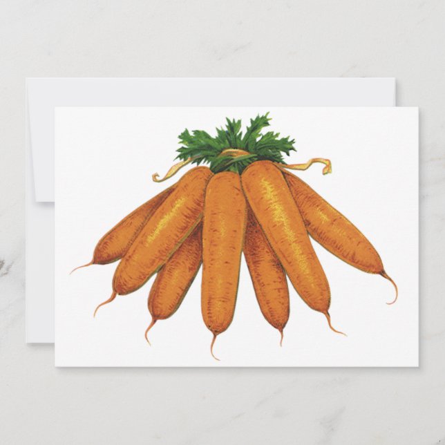 Vintage Food, Bunch of Organic Carrots Vegetables (Framsida)