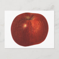 Vintage Food Fruit, Organic Red Delicious Apple