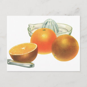 Vintage Food Fruit, Ripe Oranges Juicer Breakfast Vykort