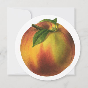 Vintage Food Fruit, Ripe Organic Peach med Löv