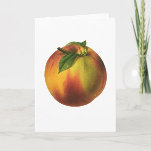Vintage Food Fruit, Ripe Organic Peach med Löv Kort