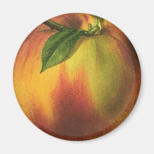 Vintage Food Fruit, Ripe Organic Peach med Löv Magnet