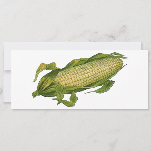 Vintage Food, Healthy Vegetables, Maj på Cob (Framsida)