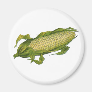 Vintage Food, Healthy Vegetables, Maj på Cob Magnet