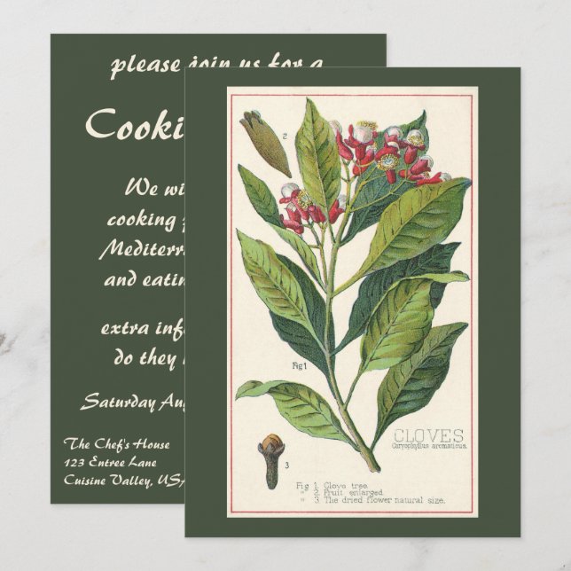 Vintage Food Örter Spices, Chandchèces Plant Inbjudningar (Fram/baksida)