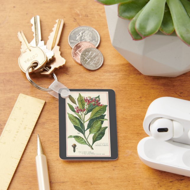 Vintage Food Örter Spices, Chandchèces Plant Nyckelring (Skrivbord)