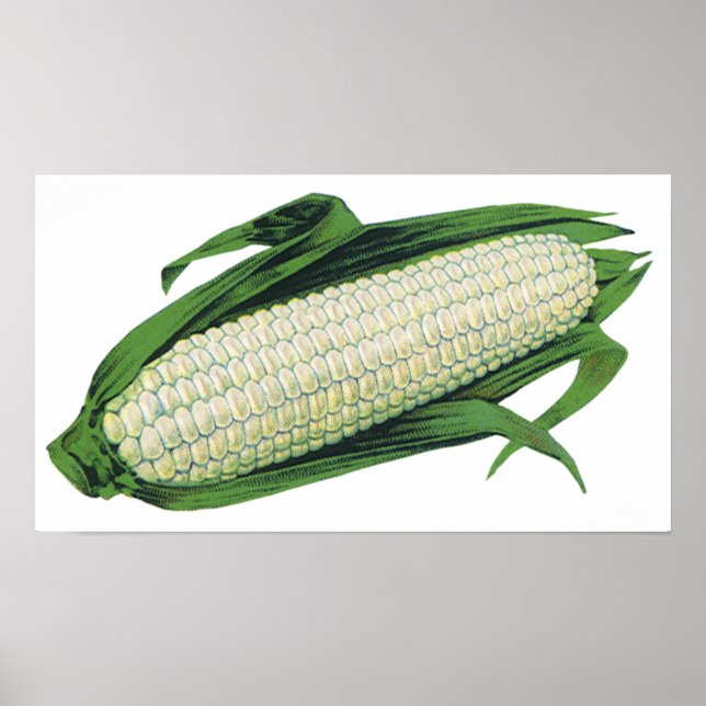 Vintage Food Vegetables White Maj på Cob Poster (Framsidan)