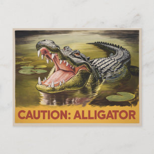 Vintage för Alligator Caution Illustration Inspire Vykort