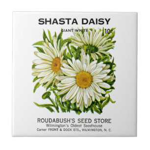 Vintage för den Shasta daisyn kärnar ur paketet Kakelplatta