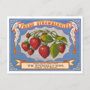 Vintage för färska jordgubbar Lithograph Advertisi Vykort
