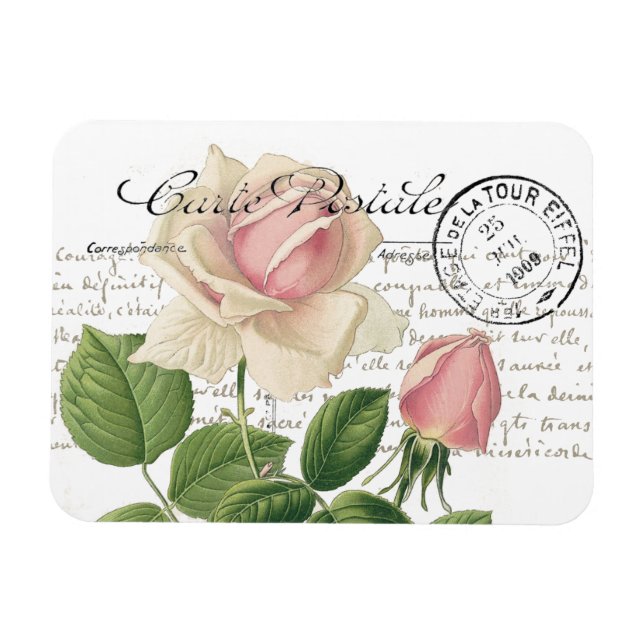 Vintage för Fransk av Carte Postale Rosa ros Magnet (Horisontell)
