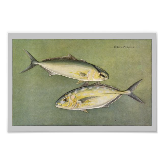 Vintage för gult och Gult Jack - Skriv ut fisk Fototryck (Framsidan)
