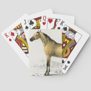 vintage för hästar illustrerad casinokort