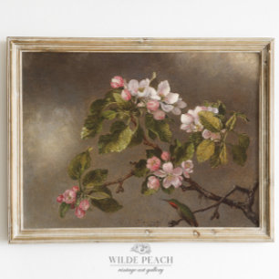 Vintage för Hummingbird och Apple Blommar Poster