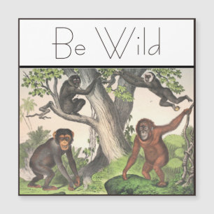 Vintage för inspirationskassan Chimpanzee