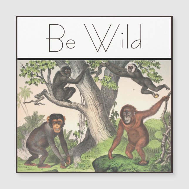 Vintage för inspirationskassan Chimpanzee (Framsida)