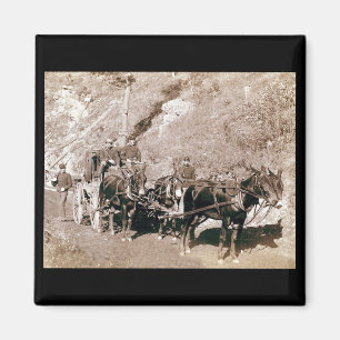 Vintage för kulationsruta magnet