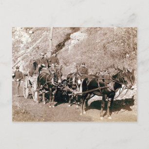 Vintage för kulationsruta vykort