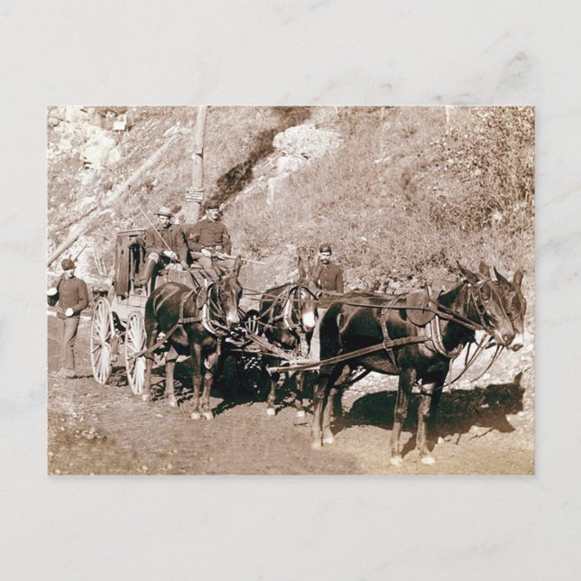 Vintage för kulationsruta vykort (Framsida)