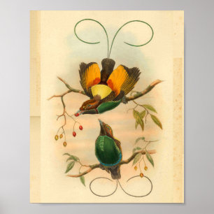 Vintage för Paradise Grönt Gult Print Poster