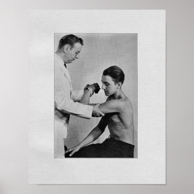 Vintage för undersökning av kycklingskulor Skriv u Poster (Framsidan)