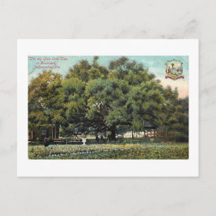 Vintage fördrag Oak Jacksonville Florida Postcard Vykort