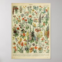 Vintage Forest Blommigt Flower Plant Poster