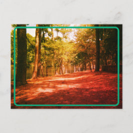 Vintage Forest Postcard Vykort