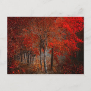 Vintage Forest Scene Vykort