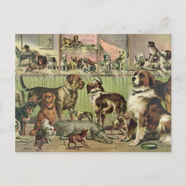 Vintage förföljer vykortet vykort (Framsida)