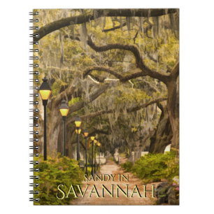 Vintage Forsyth parkerar - savannahen, GA, Anteckningsbok