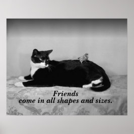 Vintage Foto av Katt och Parakeet Bird, vänner Poster