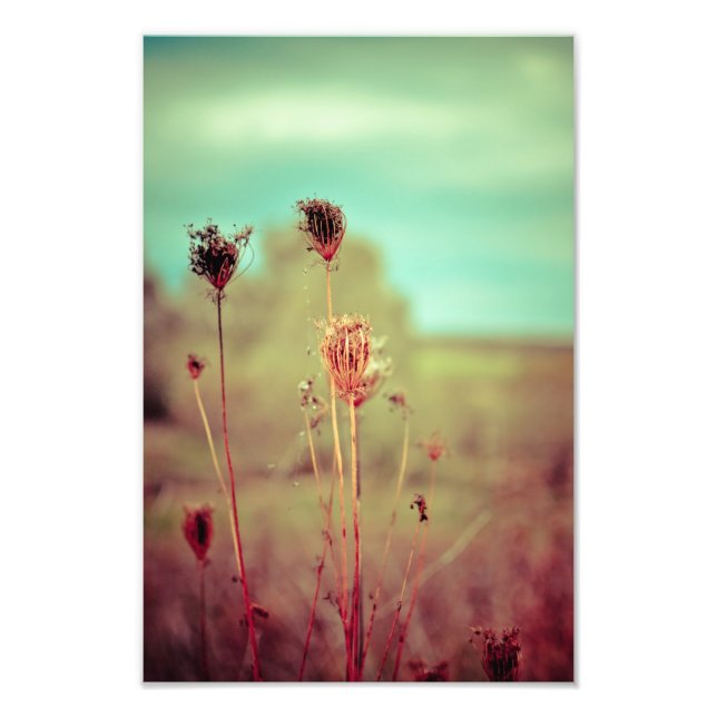 Vintage Fototryck (Framsidan)