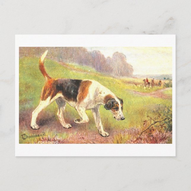 Vintage Fox Hounds Postkort Vykort (Framsida)