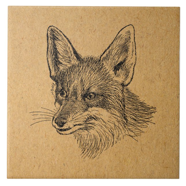 Vintage Fox Illustration Antique Animal Art Brown Kakelplatta (Framsidan)