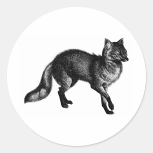 Vintage Fox Runt Klistermärke