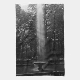Vintage Frankrike Versailles Palace grove of Domes Kökshandduk