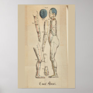 Vintage Fransk 1825 Acupuncture Meridian Points Poster