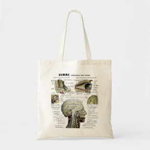 Vintage Fransk Anatomy Bag Tygkasse