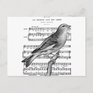 Vintage Fransk Bird Sång Music Postcard Vykort